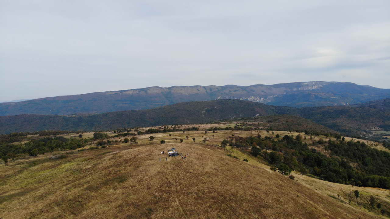 07