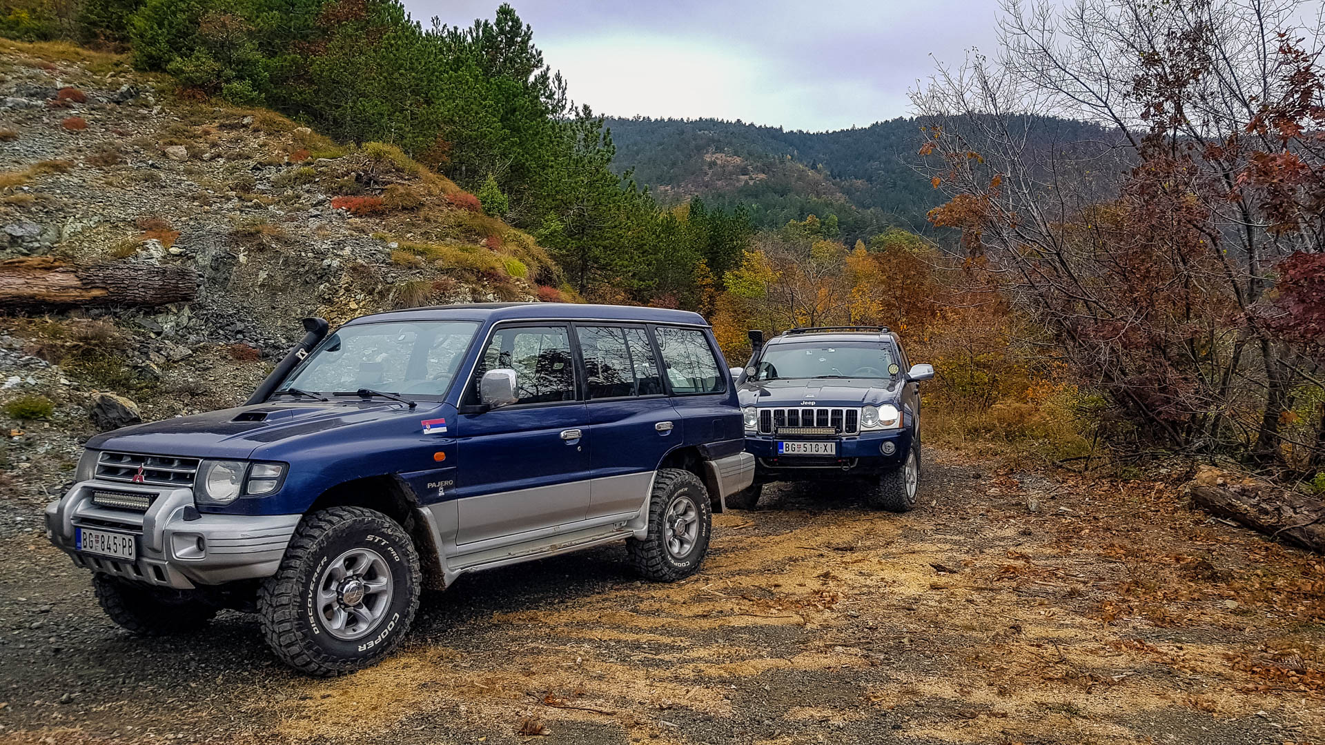 17