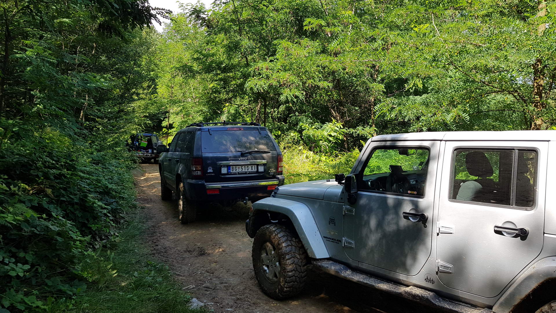 Tisovik Gucevo 01