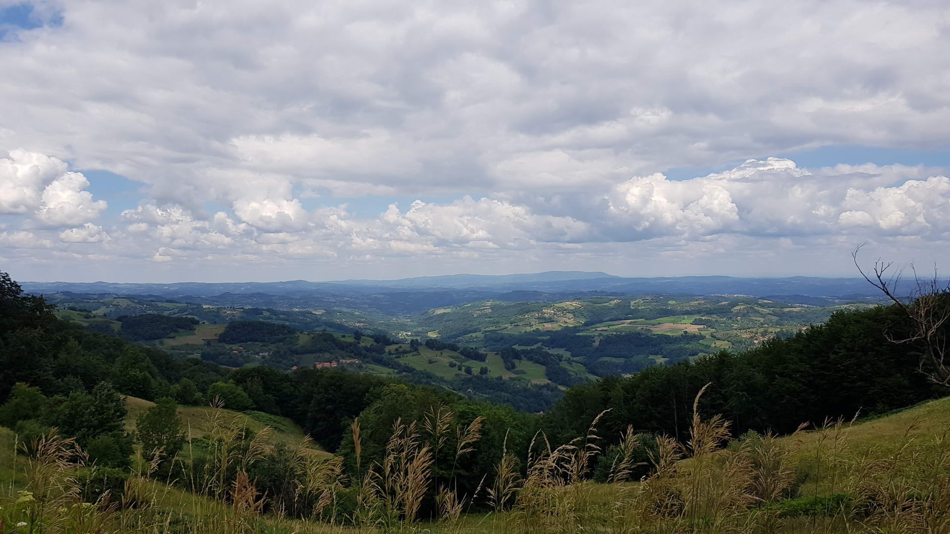 Tisovik Gucevo 06