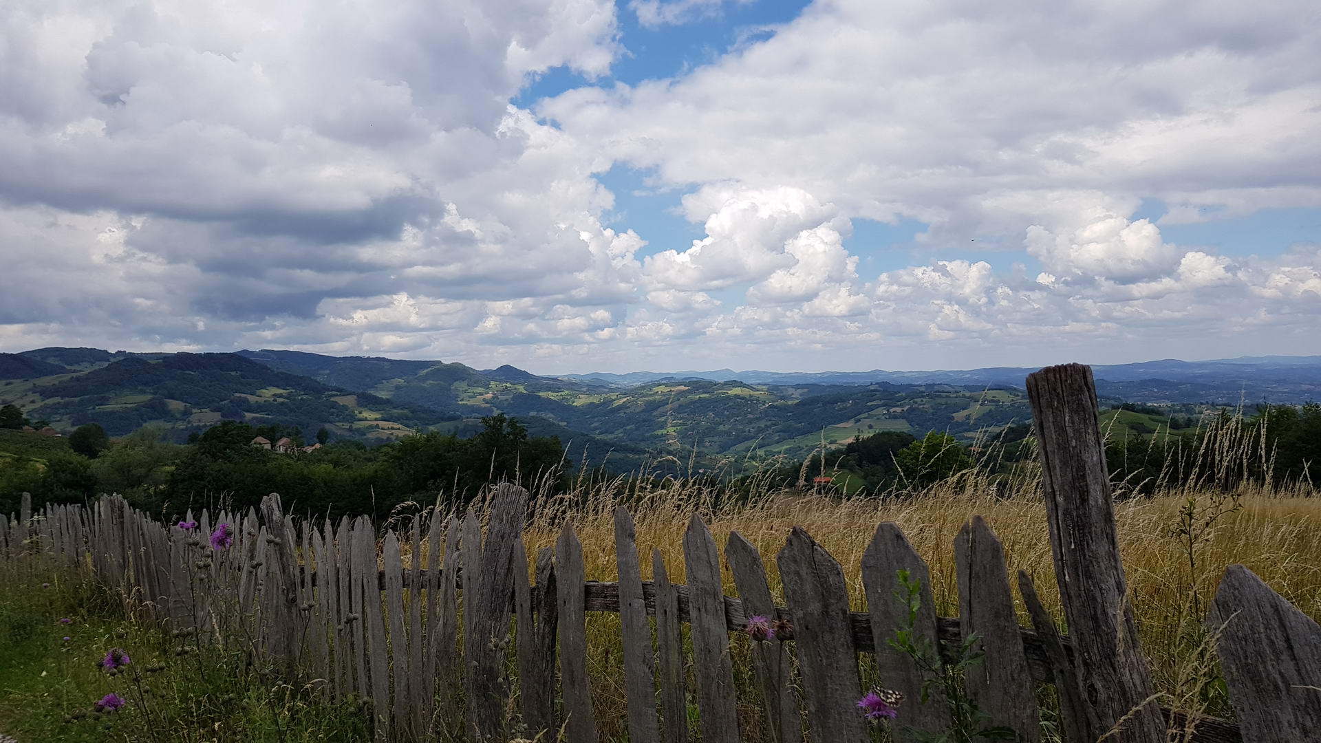 Tisovik Gucevo 07