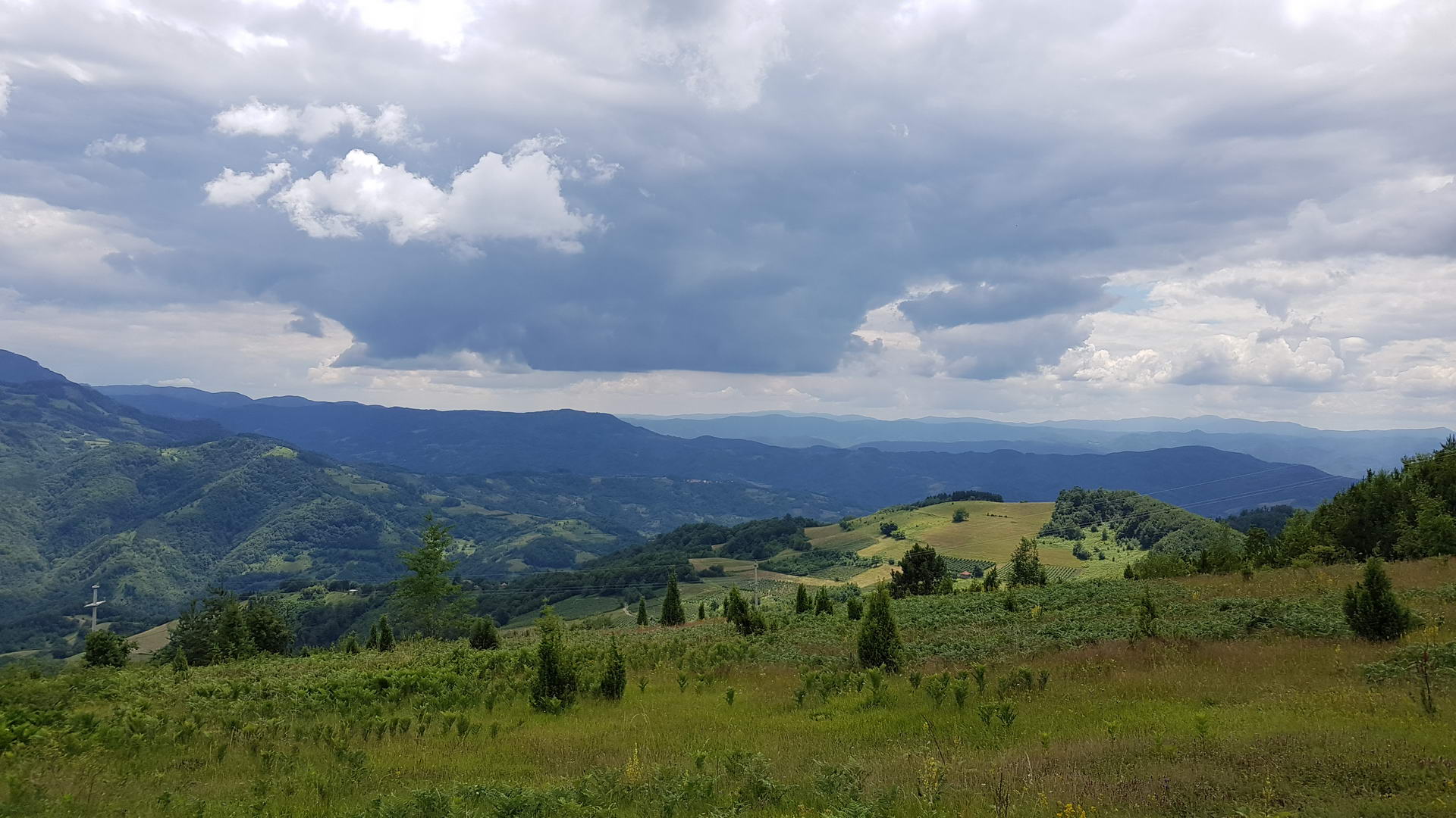 Tisovik Gucevo 14