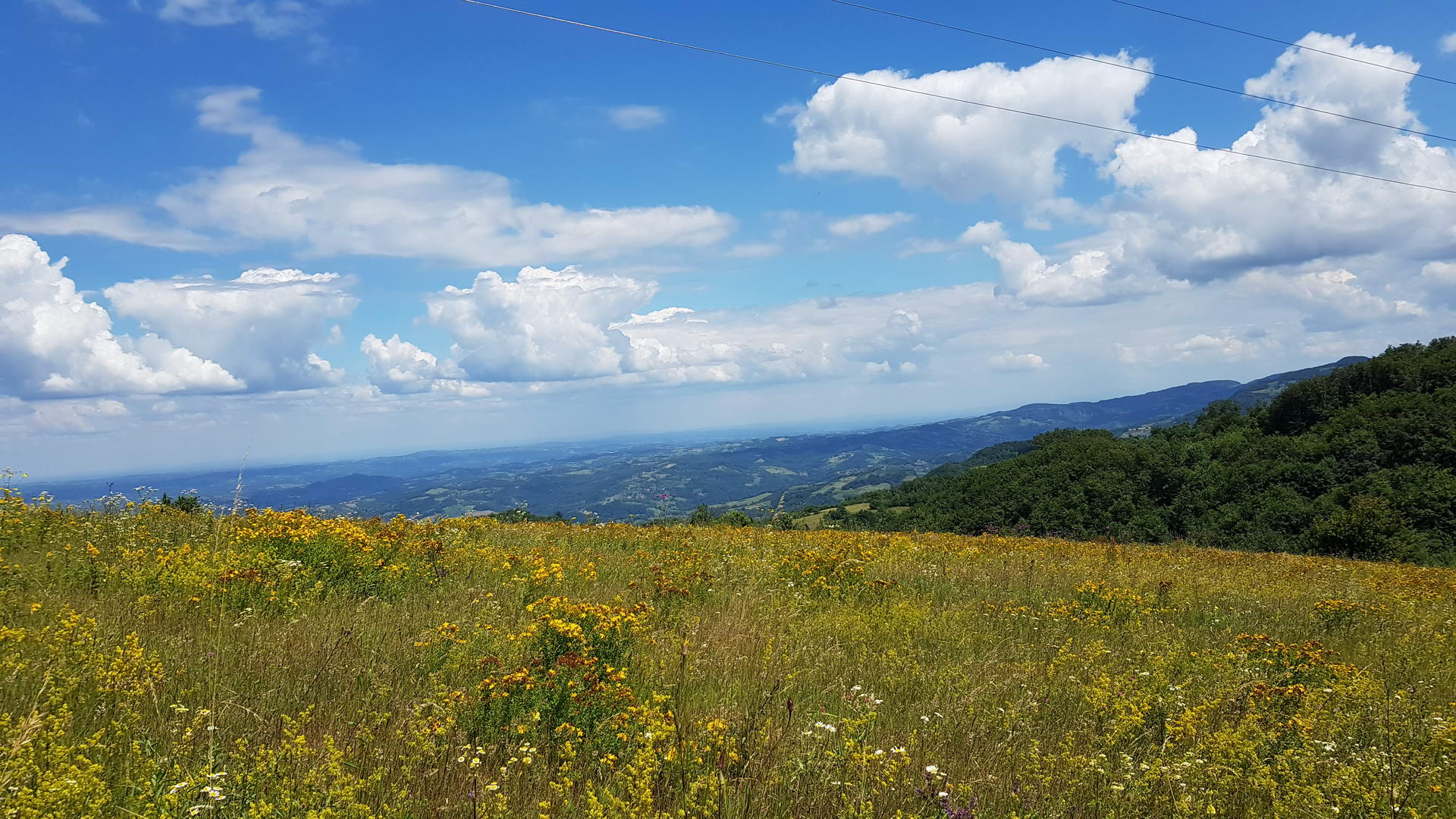 Tisovik Gucevo 18