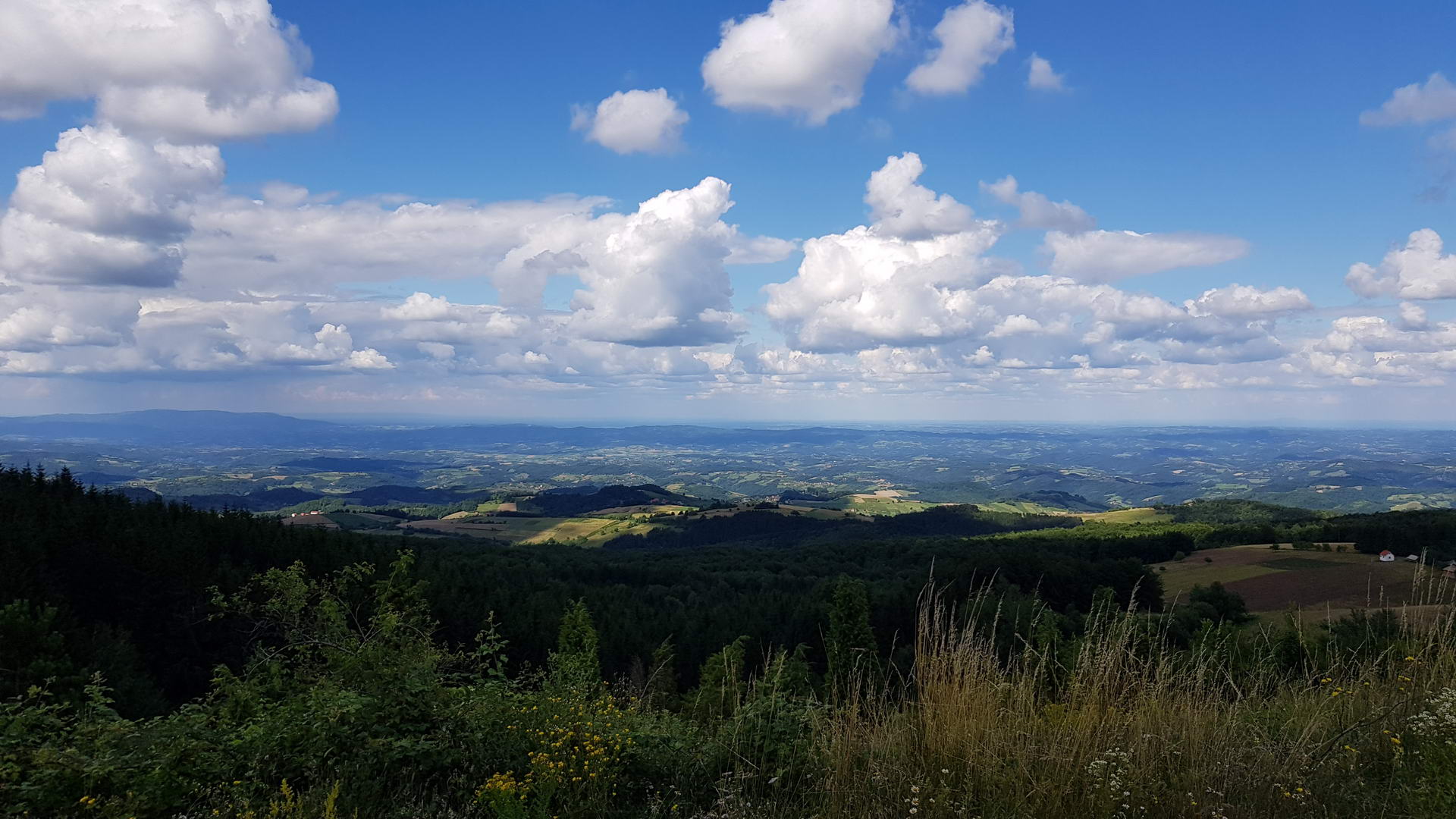 Tisovik Gucevo 34